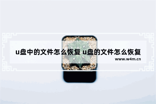 u盘中的文件怎么恢复 u盘的文件怎么恢复到手机上