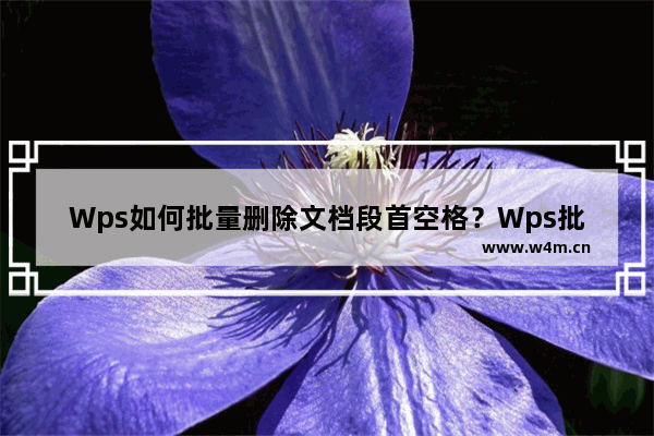 Wps如何批量删除文档段首空格？Wps批量删除文档段首空格的方法