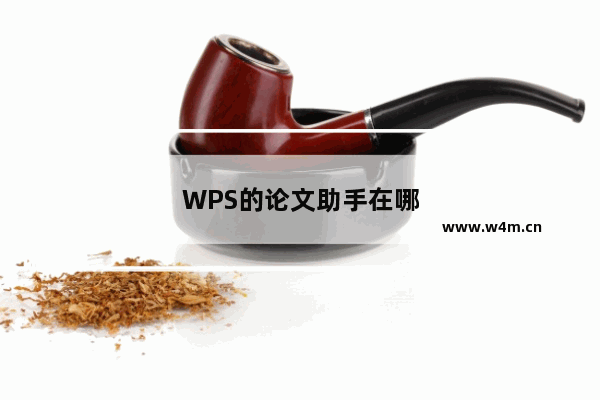 WPS的论文助手在哪