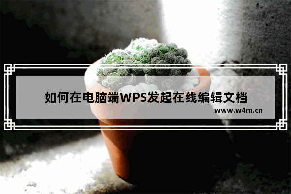 如何在电脑端WPS发起在线编辑文档