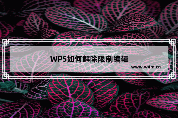 WPS如何解除限制编辑