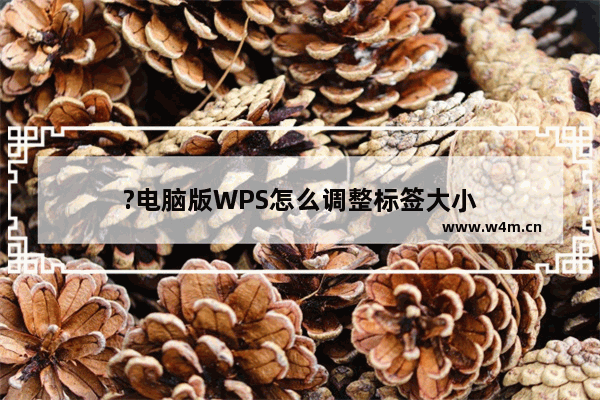 ?电脑版WPS怎么调整标签大小