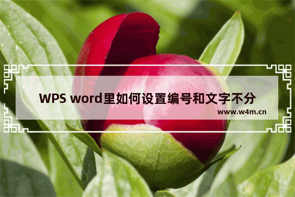 WPS word里如何设置编号和文字不分开