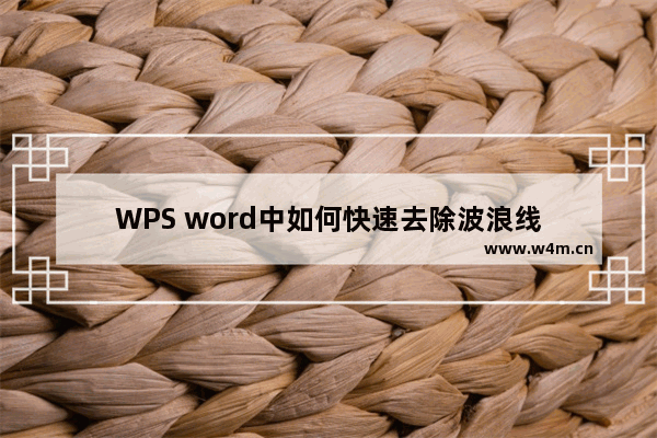 WPS word中如何快速去除波浪线