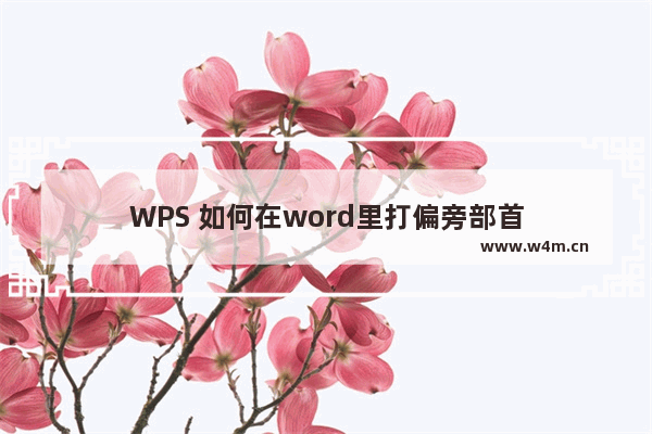 WPS 如何在word里打偏旁部首