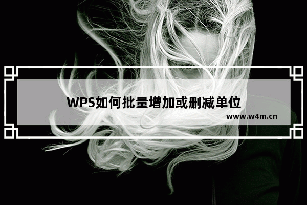 WPS如何批量增加或删减单位