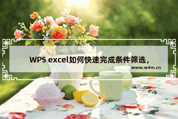 WPS excel如何快速完成条件筛选，并进行乘积求和小公式