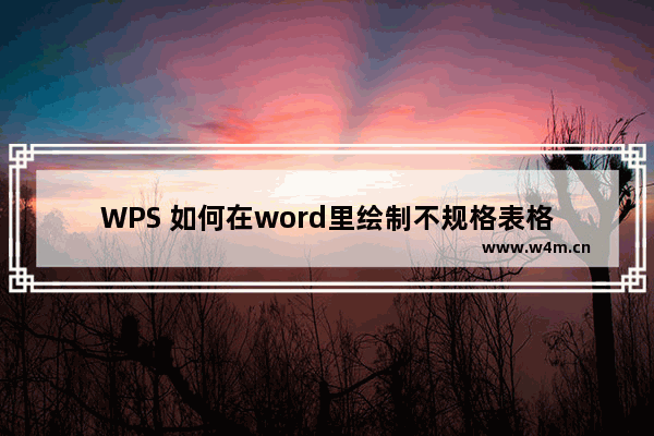 WPS 如何在word里绘制不规格表格