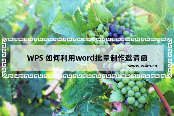 WPS 如何利用word批量制作邀请函