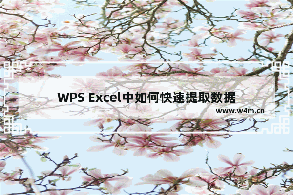 WPS Excel中如何快速提取数据