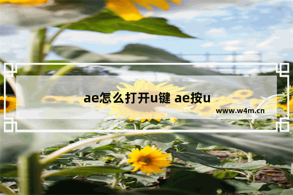 ae怎么打开u键 ae按u