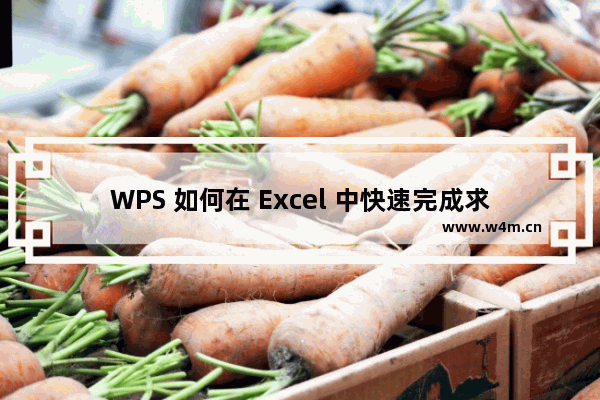 WPS 如何在 Excel 中快速完成求和、平均值、百分比