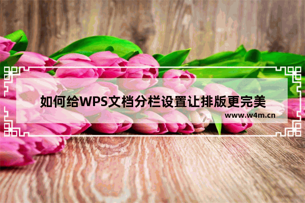 如何给WPS文档分栏设置让排版更完美