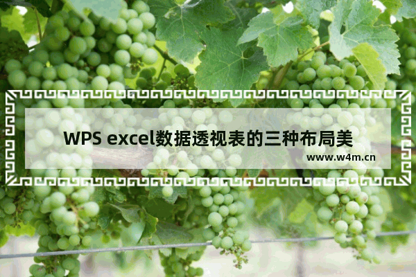 WPS excel数据透视表的三种布局美化教程