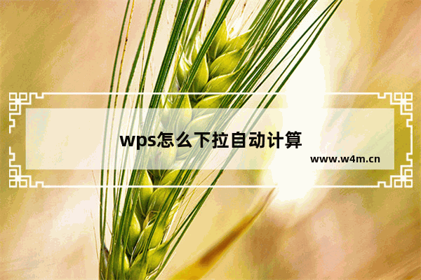 wps怎么下拉自动计算