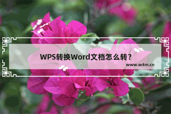 WPS转换Word文档怎么转？