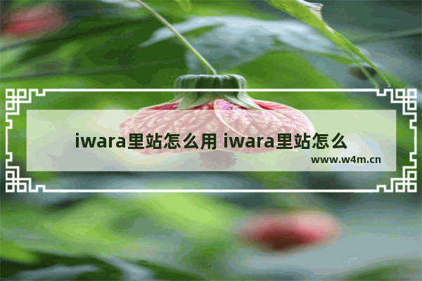 iwara里站怎么用 iwara里站怎么进不了了