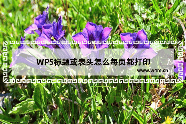 WPS标题或表头怎么每页都打印