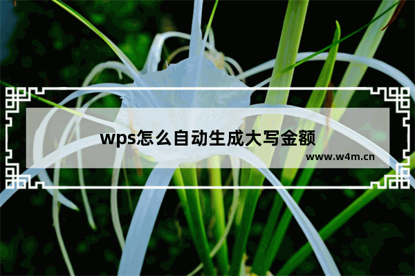 wps怎么自动生成大写金额