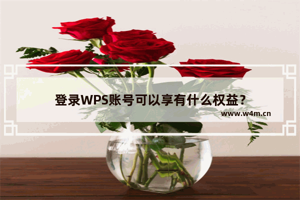 登录WPS账号可以享有什么权益？