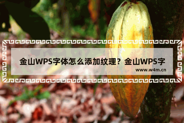 金山WPS字体怎么添加纹理？金山WPS字体添加纹理