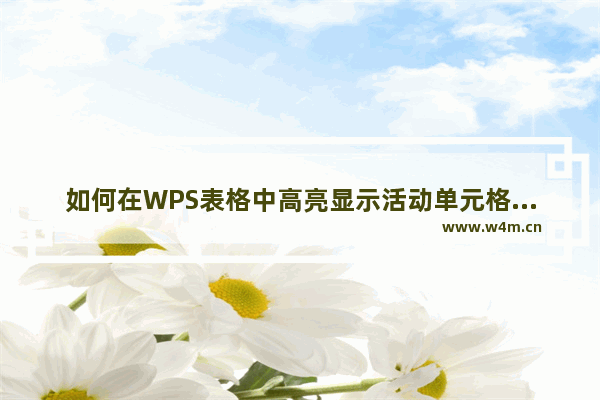 如何在WPS表格中高亮显示活动单元格所在的行和