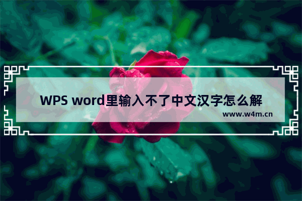 WPS word里输入不了中文汉字怎么解决