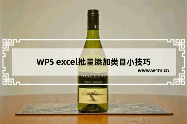 WPS excel批量添加类目小技巧