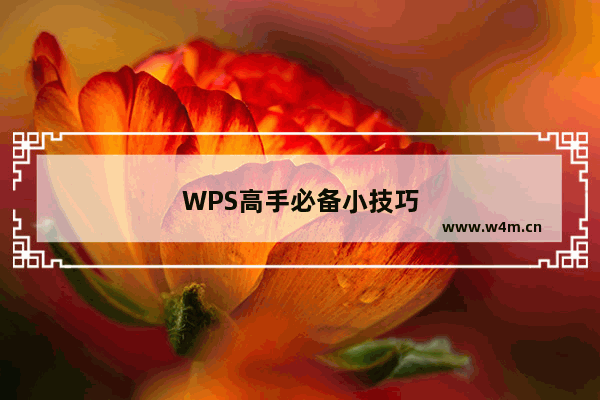 WPS高手必备小技巧