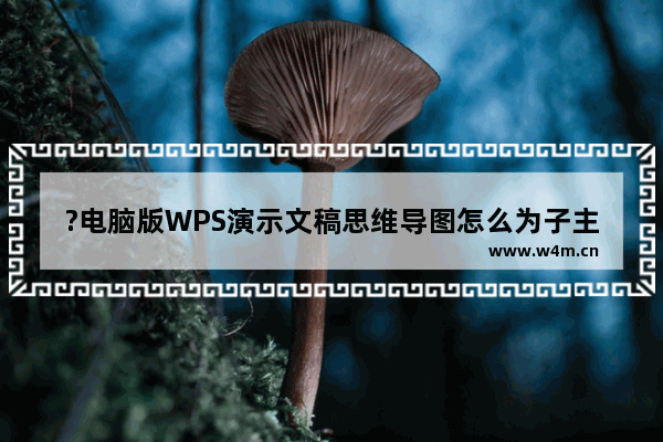 ?电脑版WPS演示文稿思维导图怎么为子主题添加编号