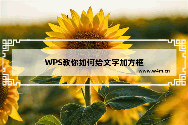 WPS教你如何给文字加方框