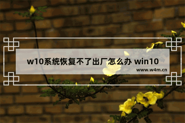 w10系统恢复不了出厂怎么办 win10电脑恢复不了出厂设置是怎么回事