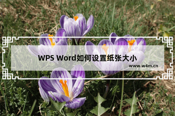 WPS Word如何设置纸张大小