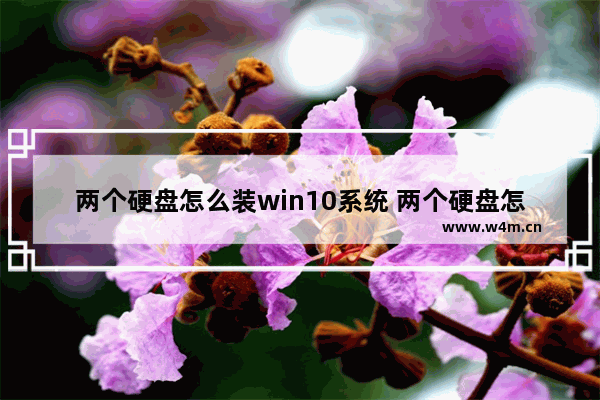 两个硬盘怎么装win10系统 两个硬盘怎样装系统