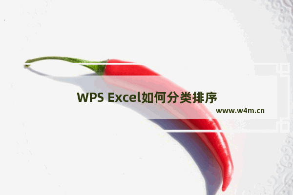 WPS Excel如何分类排序