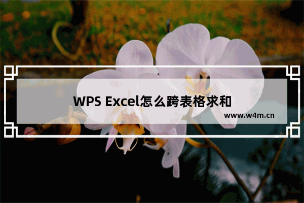 WPS Excel怎么跨表格求和