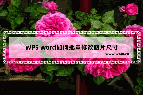 WPS word如何批量修改图片尺寸