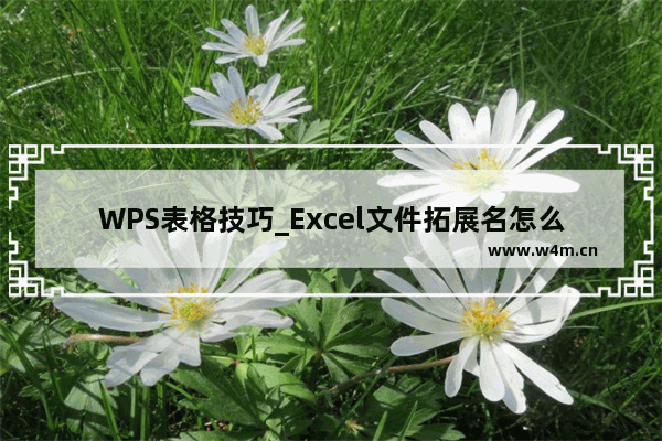 WPS表格技巧_Excel文件拓展名怎么显示