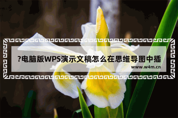 ?电脑版WPS演示文稿怎么在思维导图中插入图片