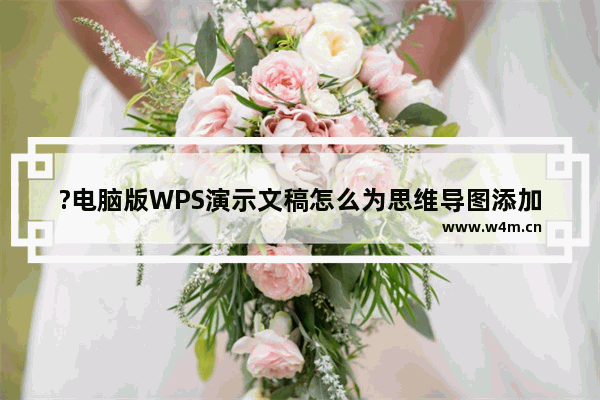 ?电脑版WPS演示文稿怎么为思维导图添加外框