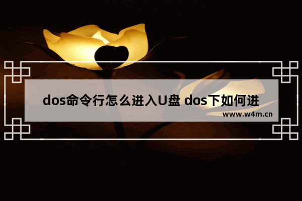 dos命令行怎么进入U盘 dos下如何进入u盘