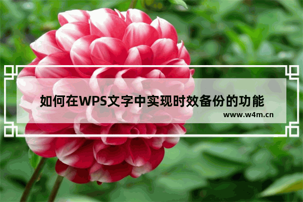 如何在WPS文字中实现时效备份的功能