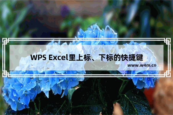 WPS Excel里上标、下标的快捷键