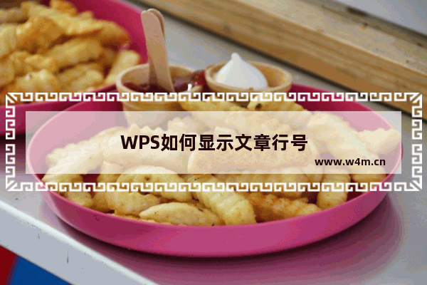 WPS如何显示文章行号