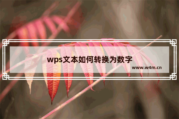 wps文本如何转换为数字