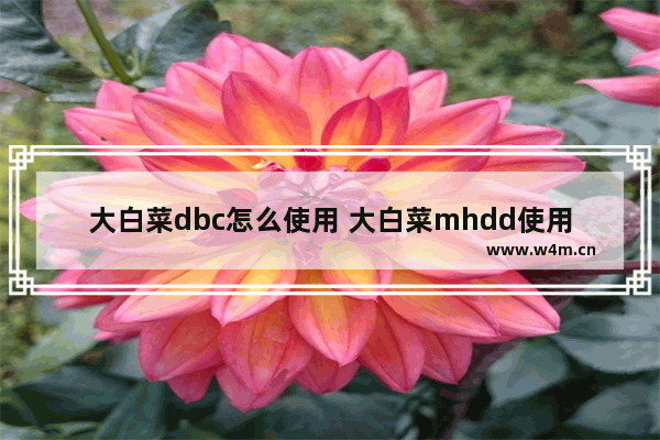 大白菜dbc怎么使用 大白菜mhdd使用方法