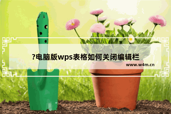 ?电脑版wps表格如何关闭编辑栏