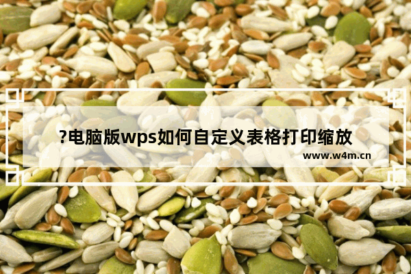 ?电脑版wps如何自定义表格打印缩放