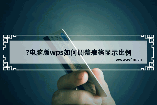 ?电脑版wps如何调整表格显示比例