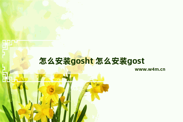 怎么安装gosht 怎么安装gost